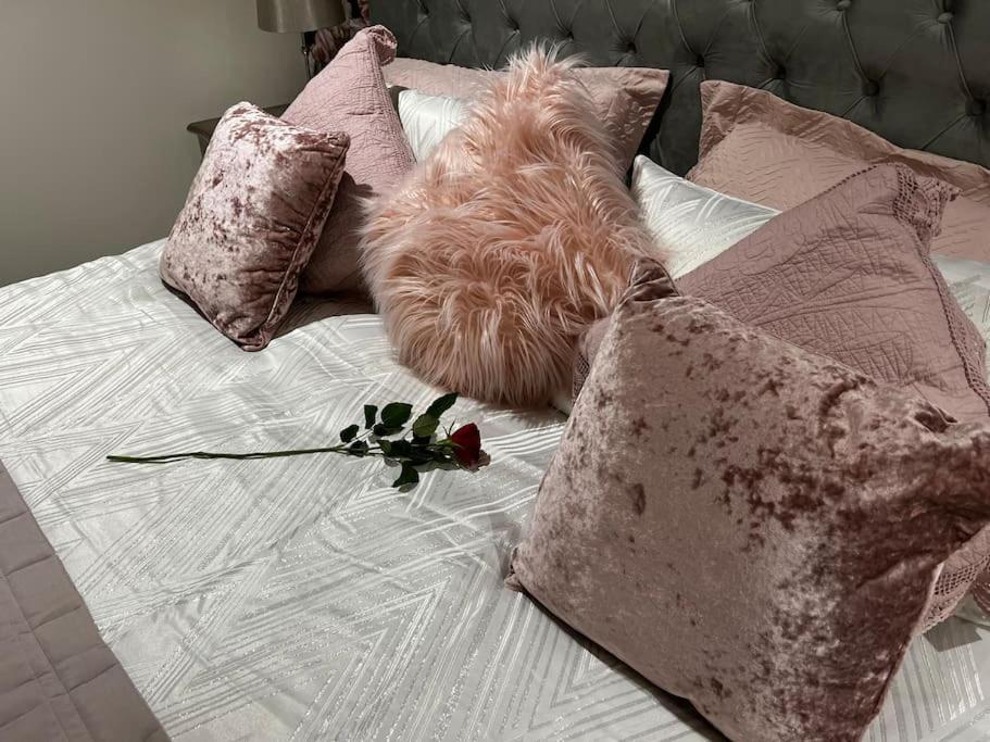 Stunning 1 Bedroom